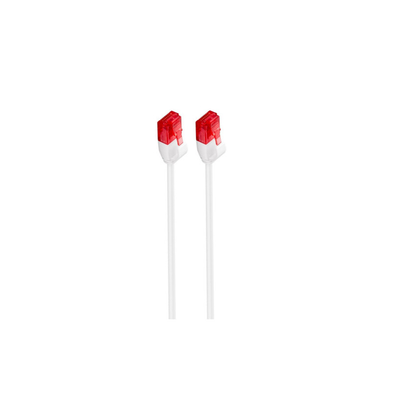 Ewent IM1035 cable de red 0,25 m Cat6 U/UTP (UTP) Blanco | APLIUM