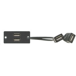 KRAMER Wall Plate de Inserción 2 x USB 2.0 (A/A) (WU-2AA) | APLIUM