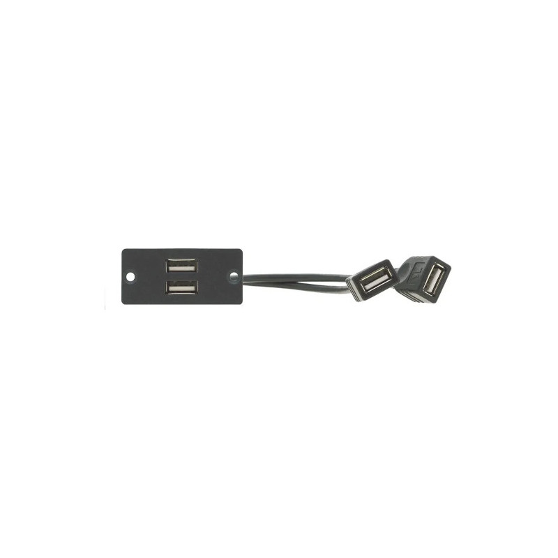 KRAMER Wall Plate de Inserción 2 x USB 2.0 (A/A) (WU-2AA) | APLIUM