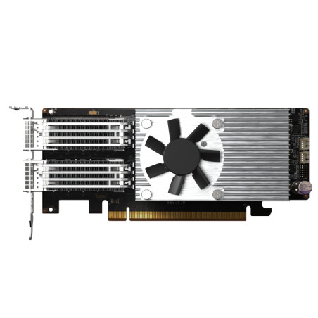 Dual-port QSFP28 100GbE network expansio