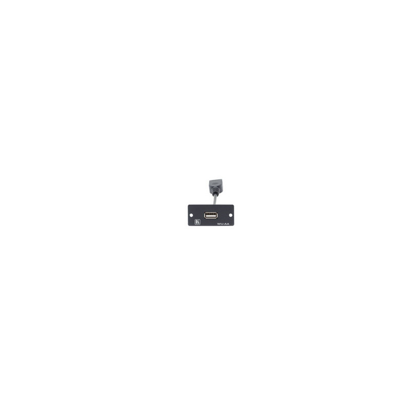 Kramer Electronics Wall Plate Insert - USB (A/A) caja de tom | APLIUM