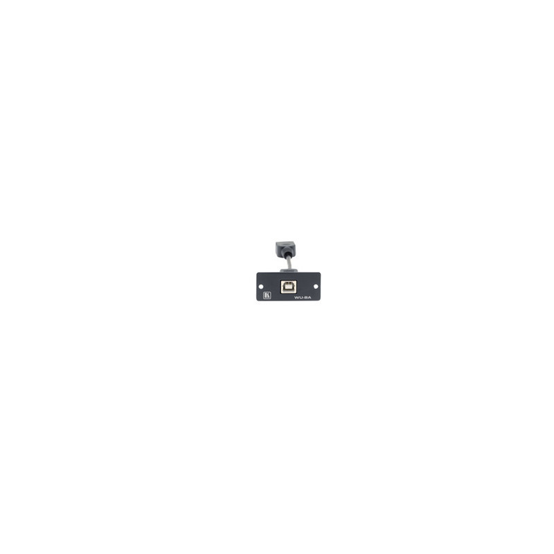 Kramer Electronics Wall Plate Insert - USB (B/A) caja de tom | APLIUM