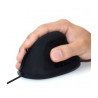 Ewent EW3157 ratón mano derecha USB tipo A Óptico 1800 DPI | APLIUM
