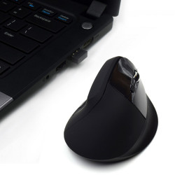 Ewent Ratón inalámbrico y ergonómico | APLIUM