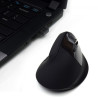 Ewent Ratón inalámbrico y ergonómico | APLIUM
