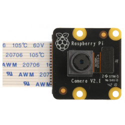 Raspberry Pi PiNoir Camera Module V2.1 Cámara Multicolor | APLIUM
