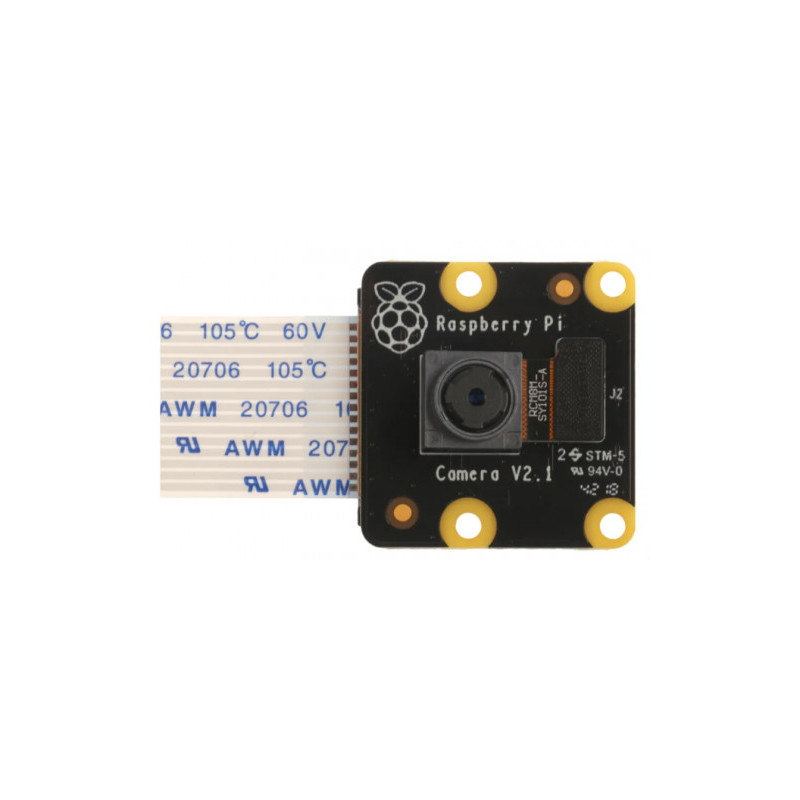 Raspberry Pi PiNoir Camera Module V2.1 Cámara Multicolor | APLIUM