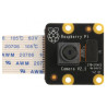 Raspberry Pi PiNoir Camera Module V2.1 Cámara Multicolor | APLIUM