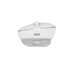 GENESIS Zircon 880 ratón Juego mano derecha RF Wireless + Bl | APLIUM