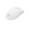 GENESIS Zircon 880 Pro ratón Juego mano derecha RF Wireless | APLIUM