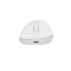 GENESIS Zircon 880 Pro ratón Juego mano derecha RF Wireless | APLIUM