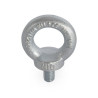 Ld Systems (5431M10) - Cáncamo Galvanizado M10 X 17 Mm Din 5 | APLIUM