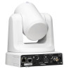 Panasonic AW-UE20WE cámara de vigilancia Almohadilla Cámara | APLIUM