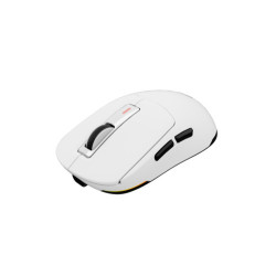GENESIS Zircon 660 ratón Juego mano derecha RF Wireless + Bl | APLIUM
