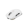 GENESIS Zircon 660 ratón Juego mano derecha RF Wireless + Bl | APLIUM