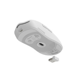 GENESIS Zircon 500 ratón Juego mano derecha RF Wireless + Bl | APLIUM