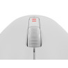 GENESIS Zircon 500 ratón Juego mano derecha RF Wireless + Bl | APLIUM