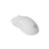 GENESIS Zircon 500 ratón Juego mano derecha RF Wireless + Bl | APLIUM