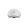 GENESIS Zircon 500 ratón Juego mano derecha RF Wireless + Bl | APLIUM
