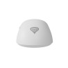 GENESIS Zircon 500 ratón Juego mano derecha RF Wireless + Bl | APLIUM