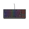 GENESIS Thor 230 TKL teclado Juego USB QWERTY Español Negro | APLIUM