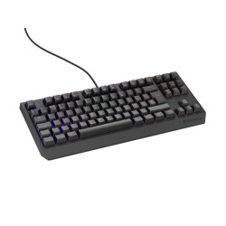 GENESIS Thor 230 TKL teclado Juego USB QWERTY Español Negro | APLIUM