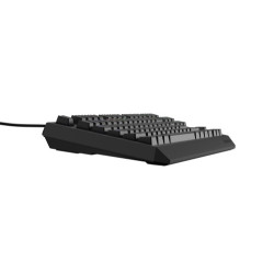 GENESIS Thor 230 TKL teclado Juego USB QWERTY Español Negro | APLIUM