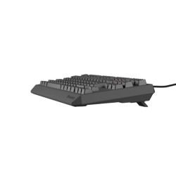 GENESIS Thor 230 TKL teclado Juego USB QWERTY Español Negro | APLIUM