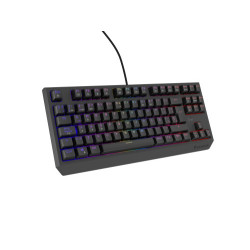 GENESIS Thor 230 TKL teclado Juego USB QWERTY Español Negro | APLIUM