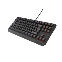 GENESIS Thor 230 TKL teclado Juego USB QWERTY Español Negro | APLIUM