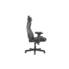 GENESIS Nitro 950 Silla para videojuegos de PC Asiento acolc | APLIUM