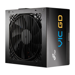 FSP VIC GD 850W unidad de fuente de alimentación 20+4 pin AT | APLIUM