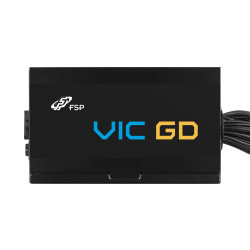 FSP VIC GD 650W unidad de fuente de alimentación 20+4 pin AT | APLIUM