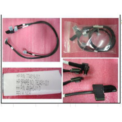 Dual Mini SAS cable with
