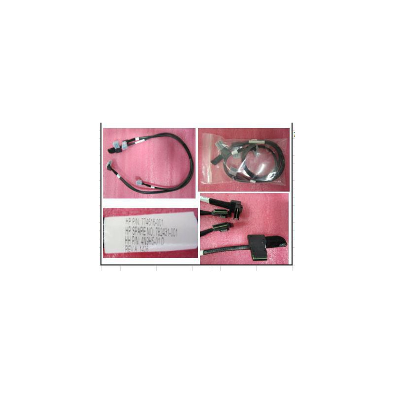 Dual Mini SAS cable with
