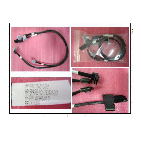 Dual Mini SAS cable with