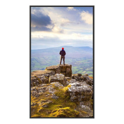 Sharp Essential Displays Model PN-E439, 43" E-series Large F | APLIUM