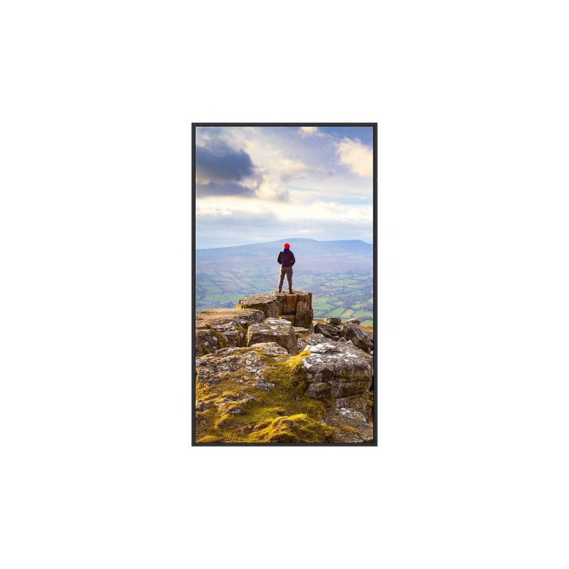 Sharp Essential Displays Model PN-E439, 43" E-series Large F | APLIUM