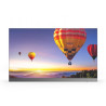 Sharp LED Bundles Model LD-E121-108-NP, Indoor LED 1.2 Mm E | APLIUM