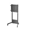 Ewent EW1552 soporte para TV 2,54 m (100") Negro | APLIUM