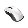 Trust GXT 923W YBAR ratón Juego mano derecha RF inalámbrico | APLIUM