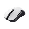 Trust GXT 923W YBAR ratón Juego mano derecha RF inalámbrico | APLIUM