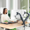 Brazo Para Monitor Dual Ergo Spacesaving Color Gris Oscuro L | APLIUM