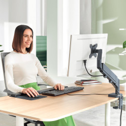 Brazo Para Un Monitor Ergo Spacesaving Color Gris Oscuro Lei | APLIUM