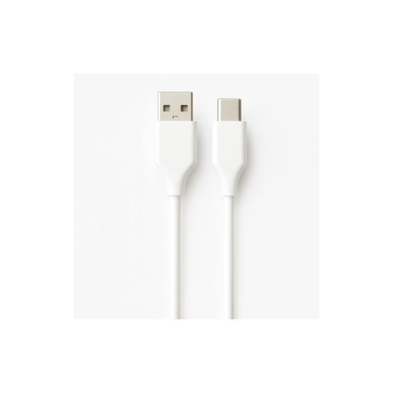Ewent EC1132 cable USB USB 2.0 1 m USB A USB C Blanco | APLIUM