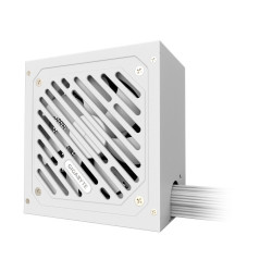 GIGABYTE P550SS ICE Fuente de Alimentación - PCIe 5.0, 80 PL | APLIUM