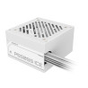 GIGABYTE P550SS ICE Fuente de Alimentación - PCIe 5.0, 80 PL | APLIUM