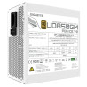 GIGABYTE UD850GM PG5 V2 ICE unidad de fuente de alimentación | APLIUM