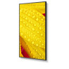 NEC MultiSync M501-2 Diseño de quiosco 127 cm (50") LED 4K U | APLIUM