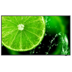 NEC MultiSync E658 165,1 cm (65") IPS 350 cd / m² 4K Ultra H | APLIUM